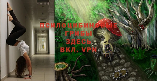MDMA Premium VHQ Зеленокумск